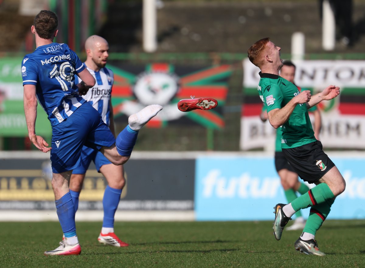 Desmond Loughery tweet media