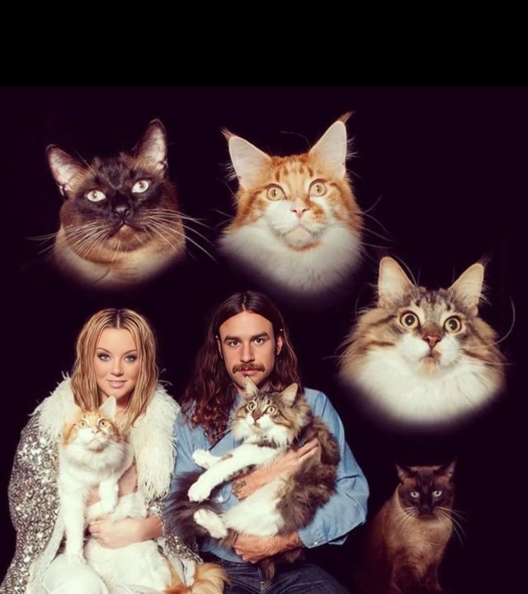 Michelle 🇺🇸 tweet media