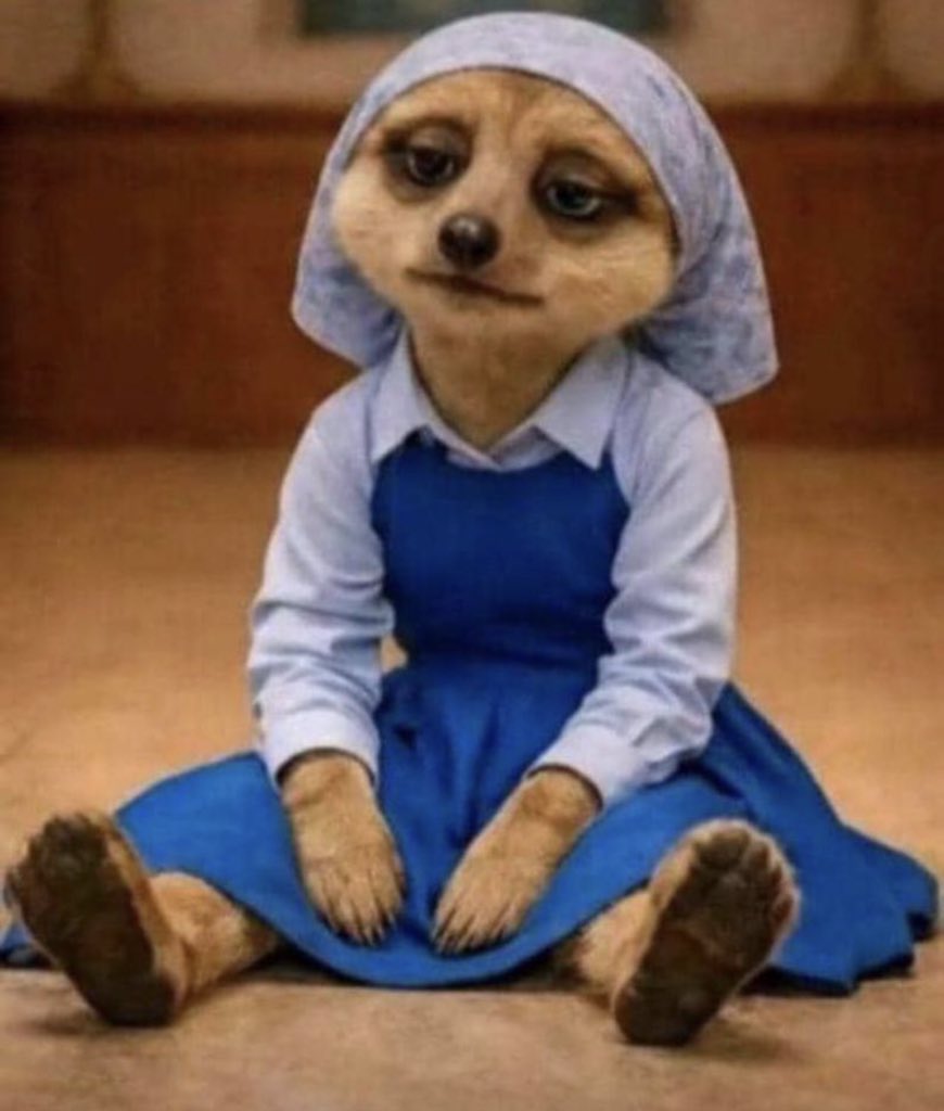 Agu Nwanyi 🔥🦁 tweet media