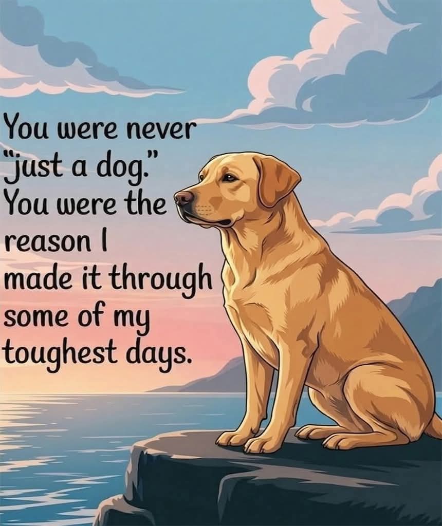 You were never just a dog. You were the reason I made it through some of my toughest days.