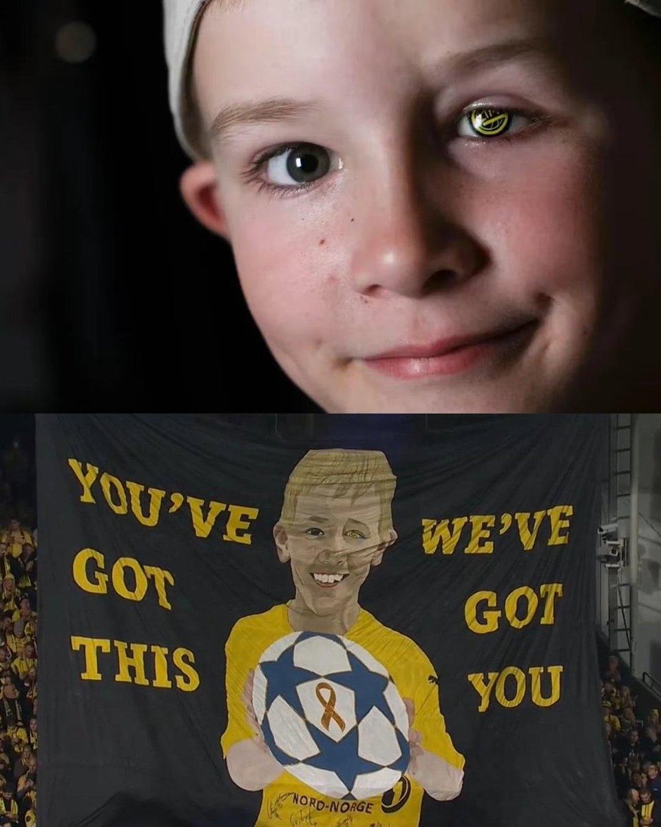 The Away Fans tweet media