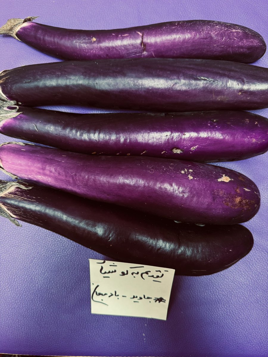 Isfahan Blues tweet media