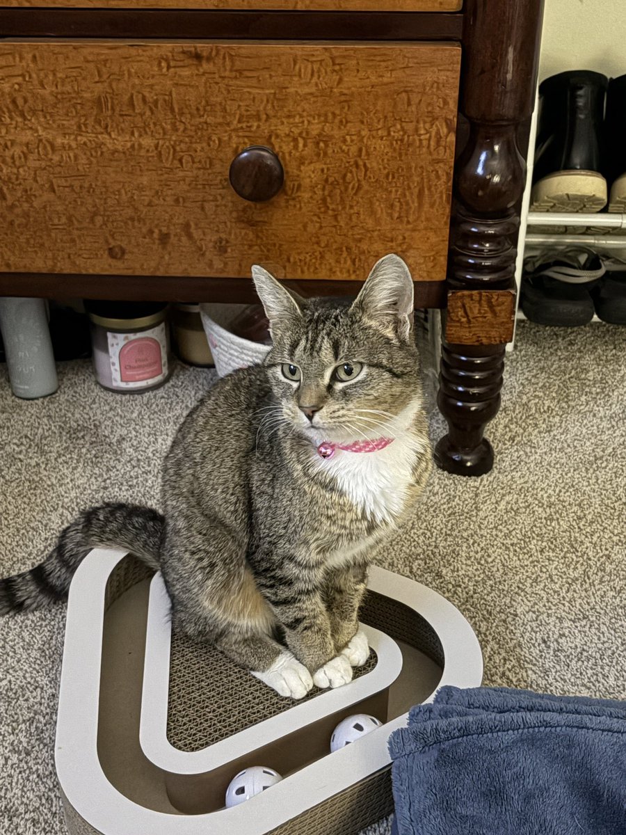 eren 🌸 #1 carver kisser tweet media