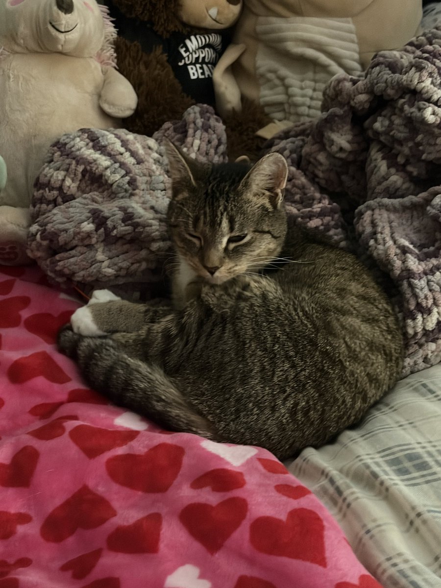 eren 🌸 #1 carver kisser tweet media