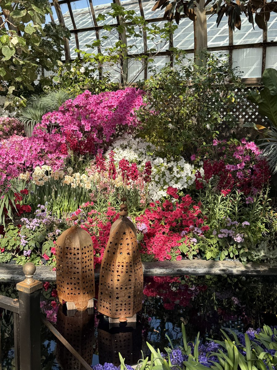 Ricky 🫑🍵 tweet media