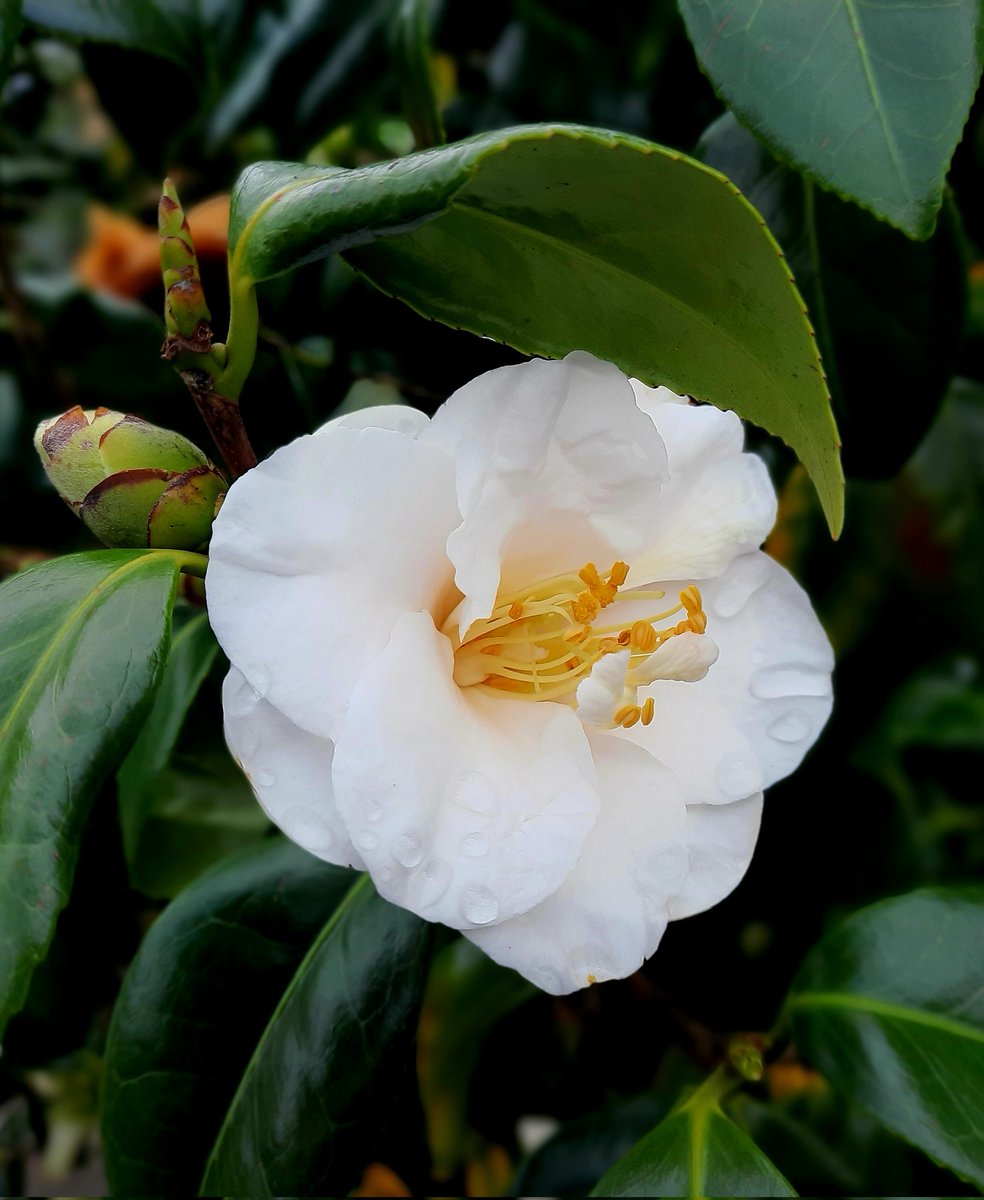 AnaDeepBlue tweet media