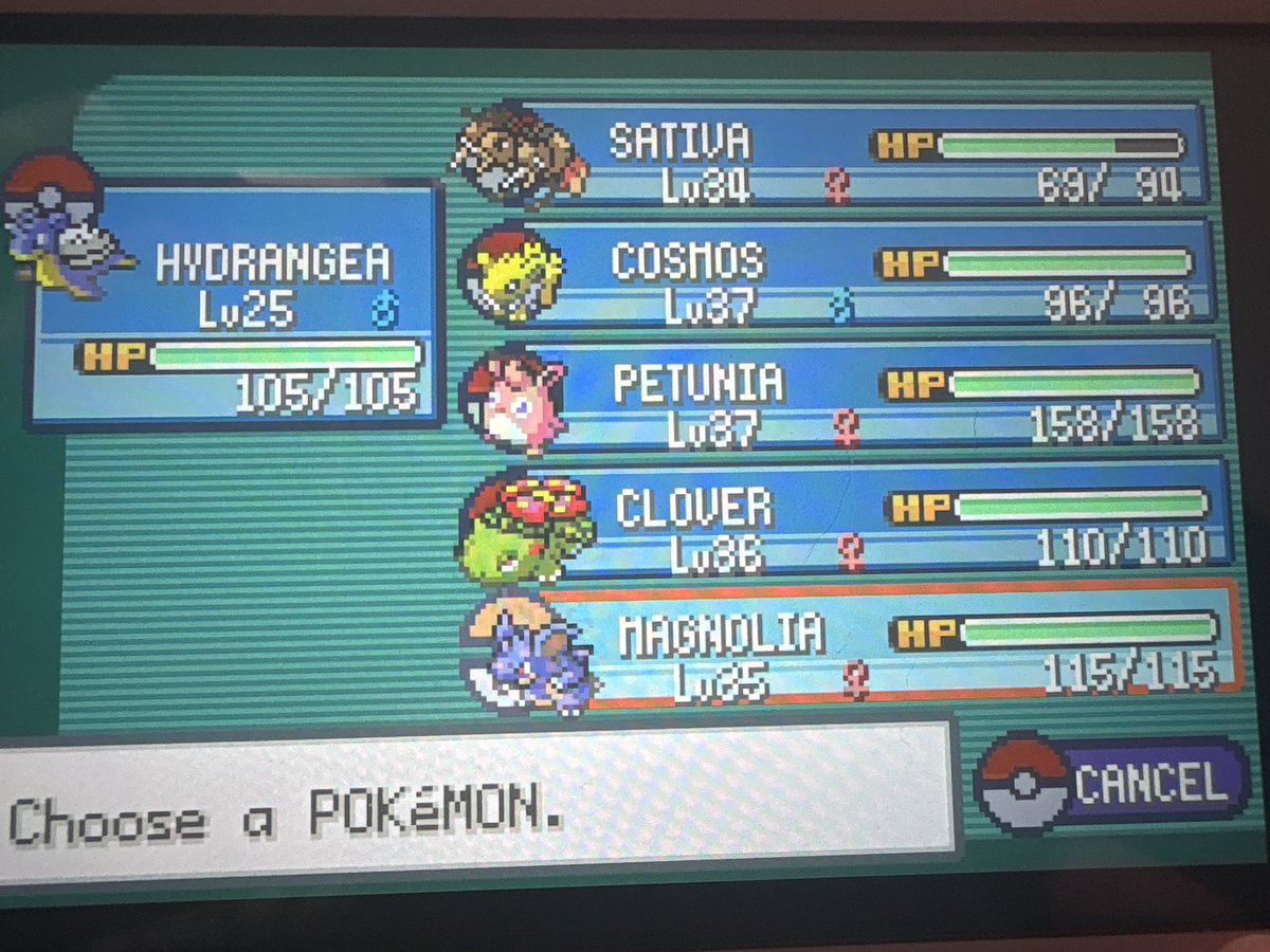 🎠 mallow .ᐟ tweet media