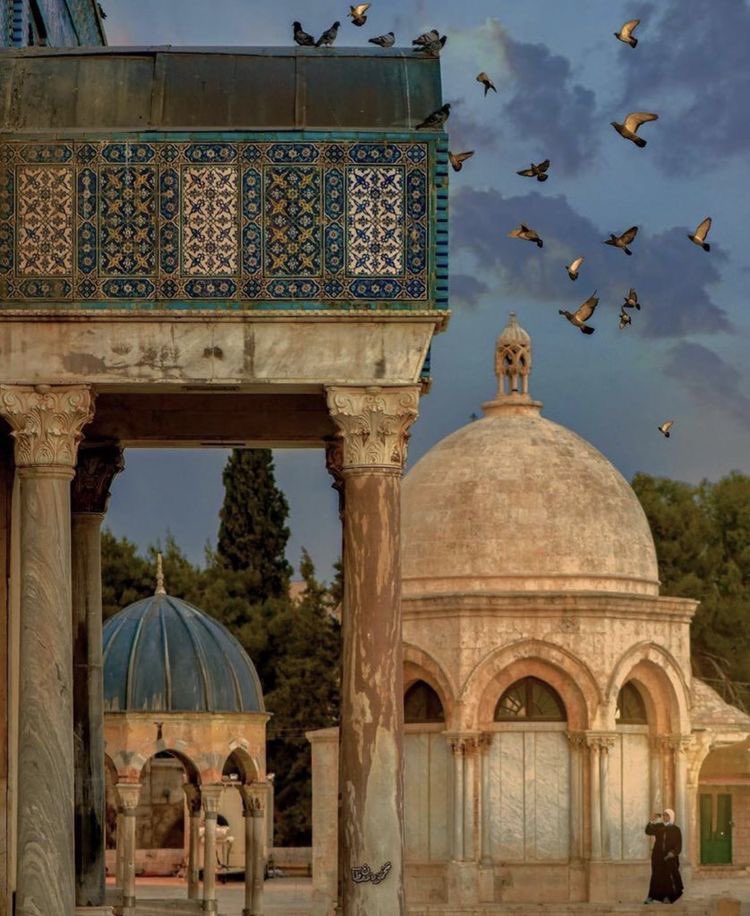 This is world tweet media