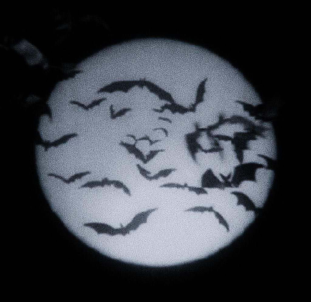 Luna .𖥔 ݁ ˖꩜ ⋆ 30% off tweet media