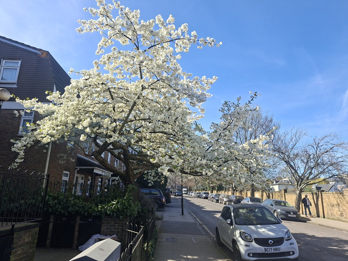 Dmitry /Undefined Behavior/ Sviridkin tweet media