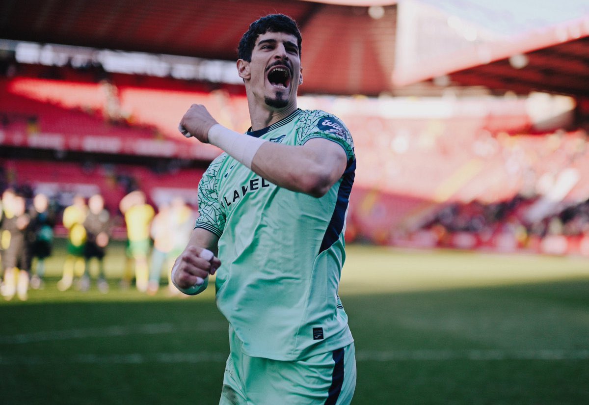 Norwich City Updates tweet media