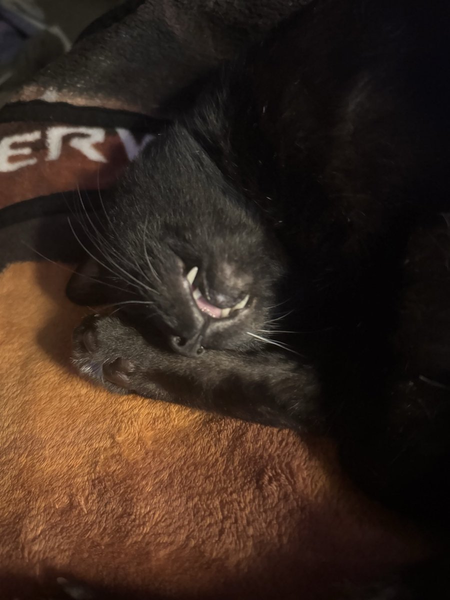 Sabe | Biranger 🍉 tweet media