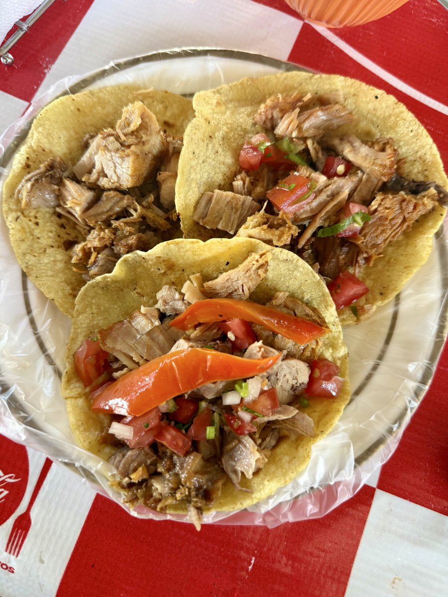 Pizza-nami 🍕 tweet media