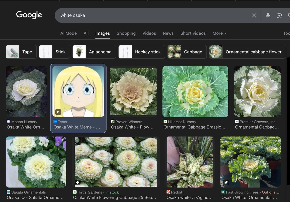 🩸🩸🩸 tweet media