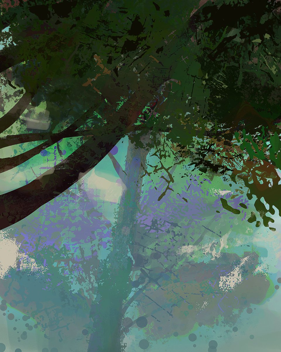 pombO 🍊 tweet media