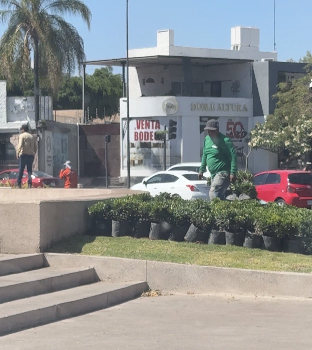 Juncal Solano tweet media