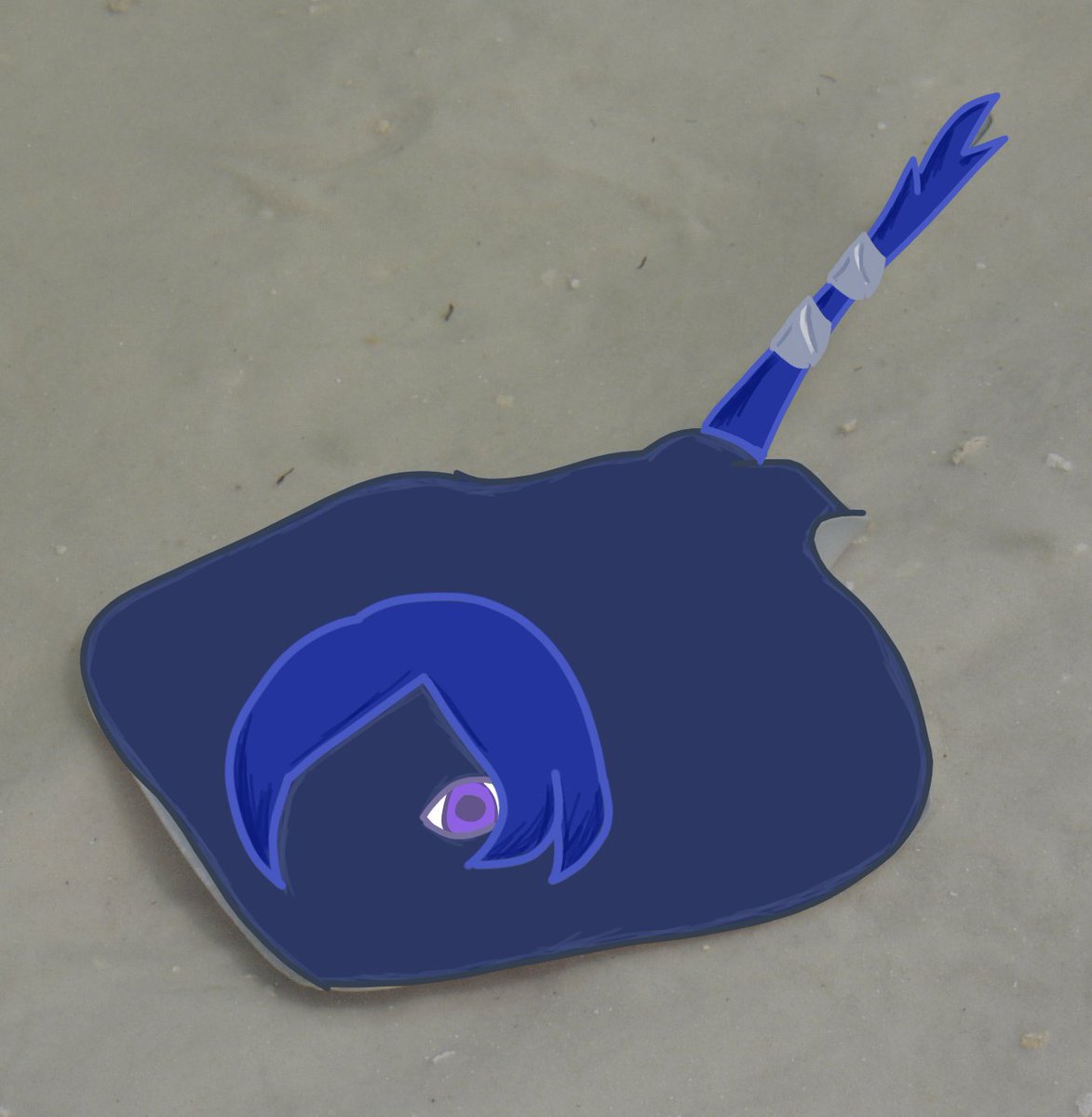 Daily Promeia ☾⋆⁺₊✧ tweet media