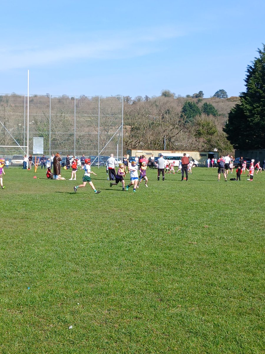 Ronan Sheehan tweet media