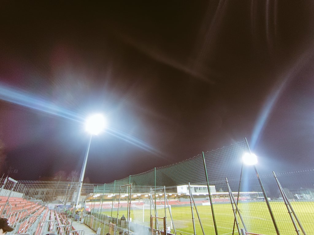 SzwajkinsMP tweet media