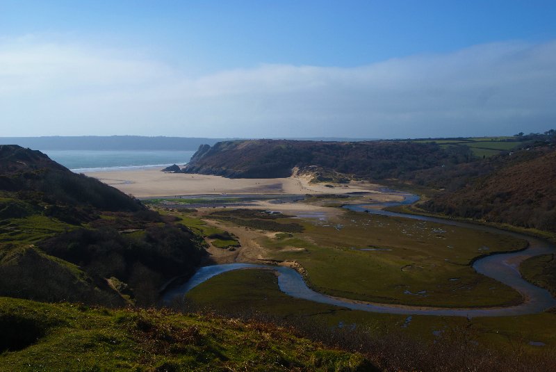 Swansea Snapper tweet media