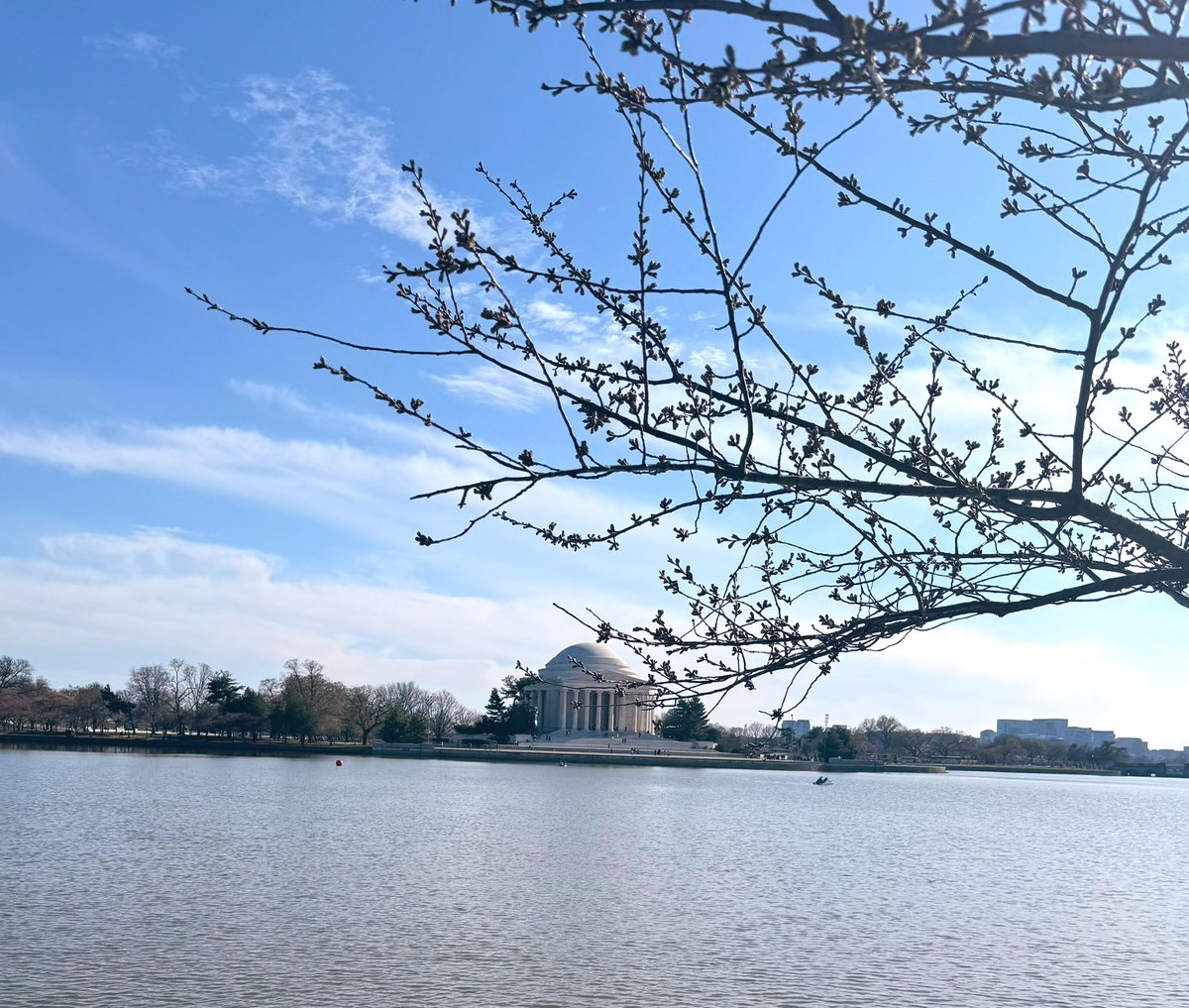 Kalia Tarelle DC 💕 tweet media