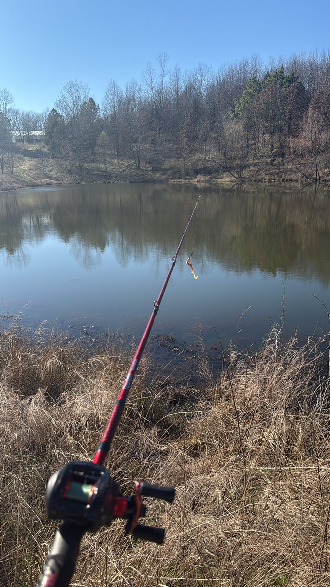 Robert Sullivan Burner tweet media