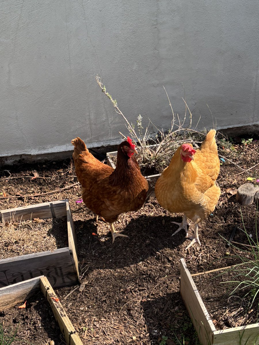 noam ۶ৎ | SEEING FLORENCE!! tweet media