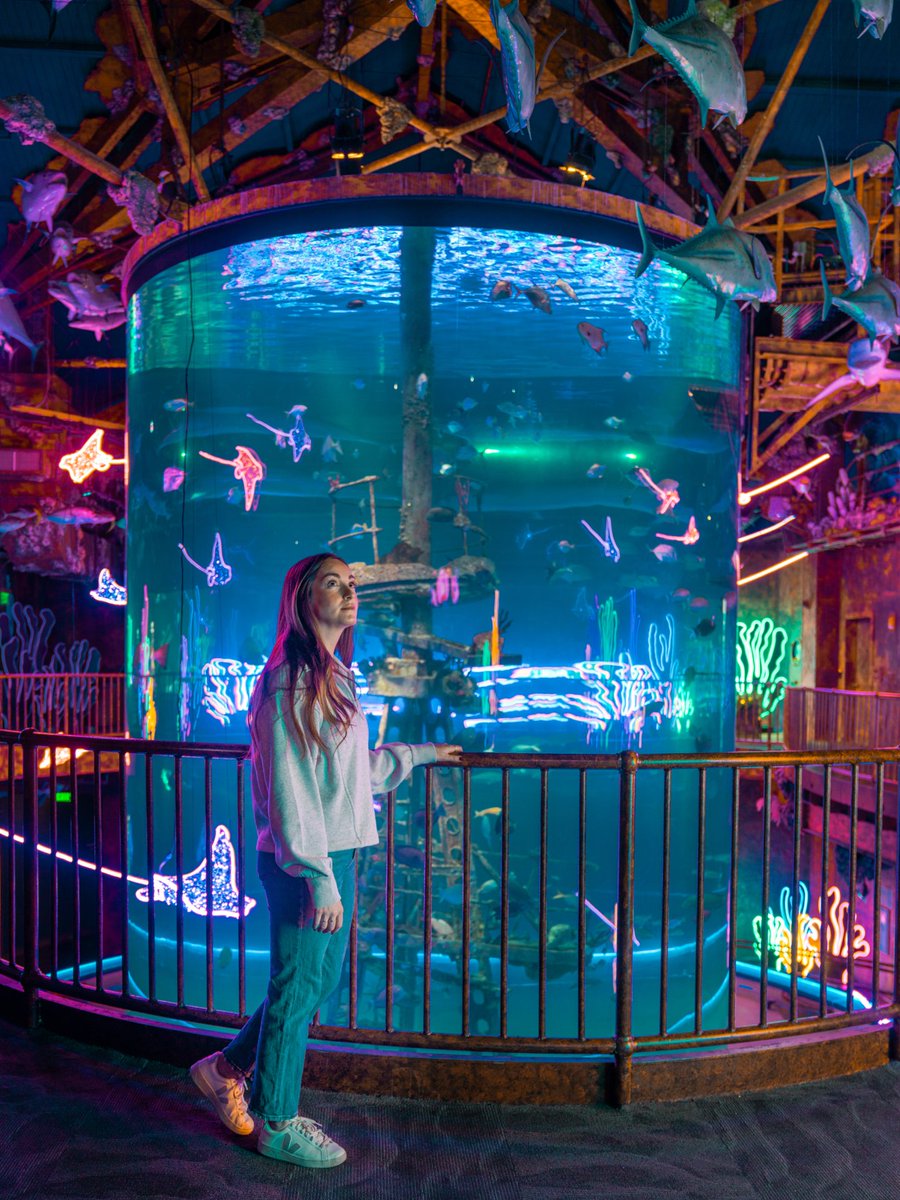 Visit Missouri tweet media