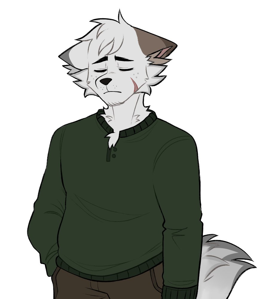 Daily Theo tweet media