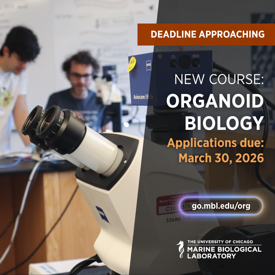 Marine Biological Laboratory (MBL) tweet media