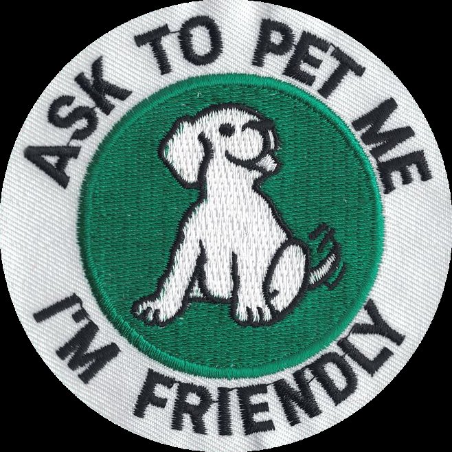 poyo🐶𐂯θΔ tweet media