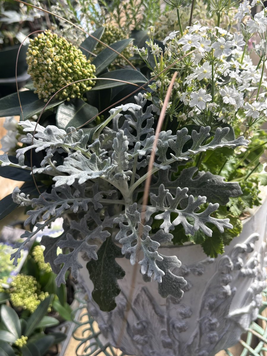 Jessie ◡̈ღ tweet media