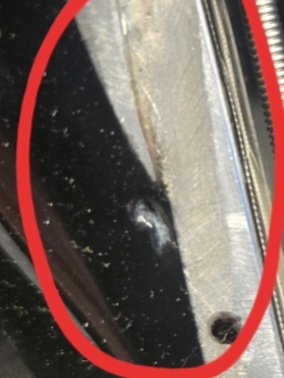 ilynnathaniel tweet media