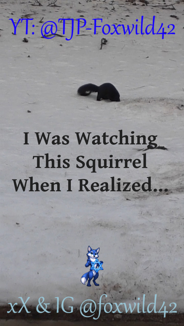 Fox Wild tweet media