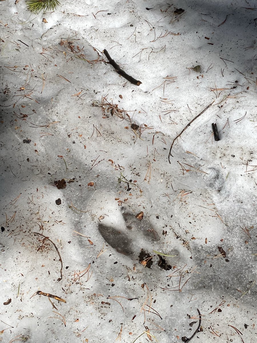 Libby - Nebraska & Wyoming Weather tweet media