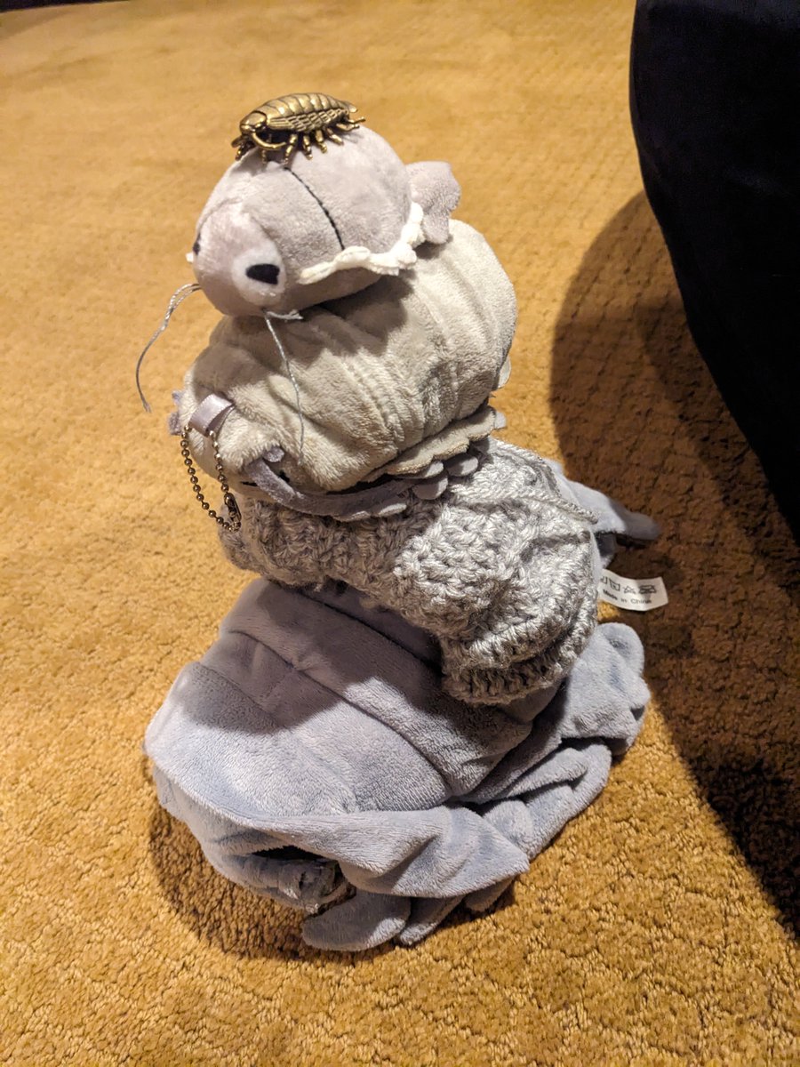 🌧️🐛 io tweet media