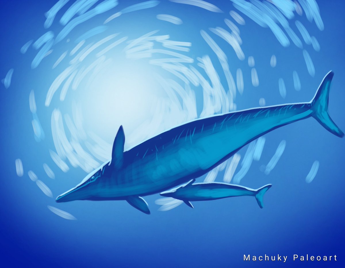 Machuky Paleoart tweet media