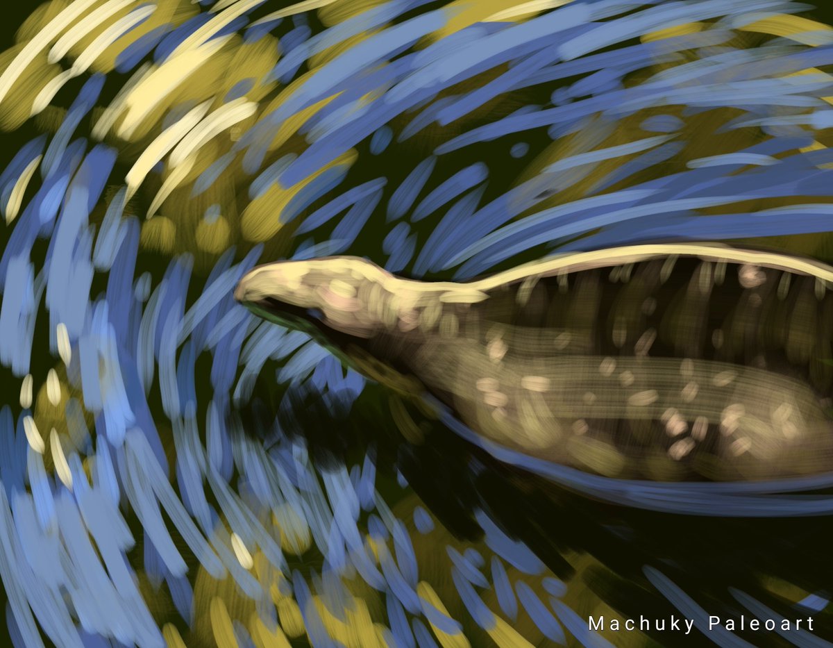 Machuky Paleoart tweet media