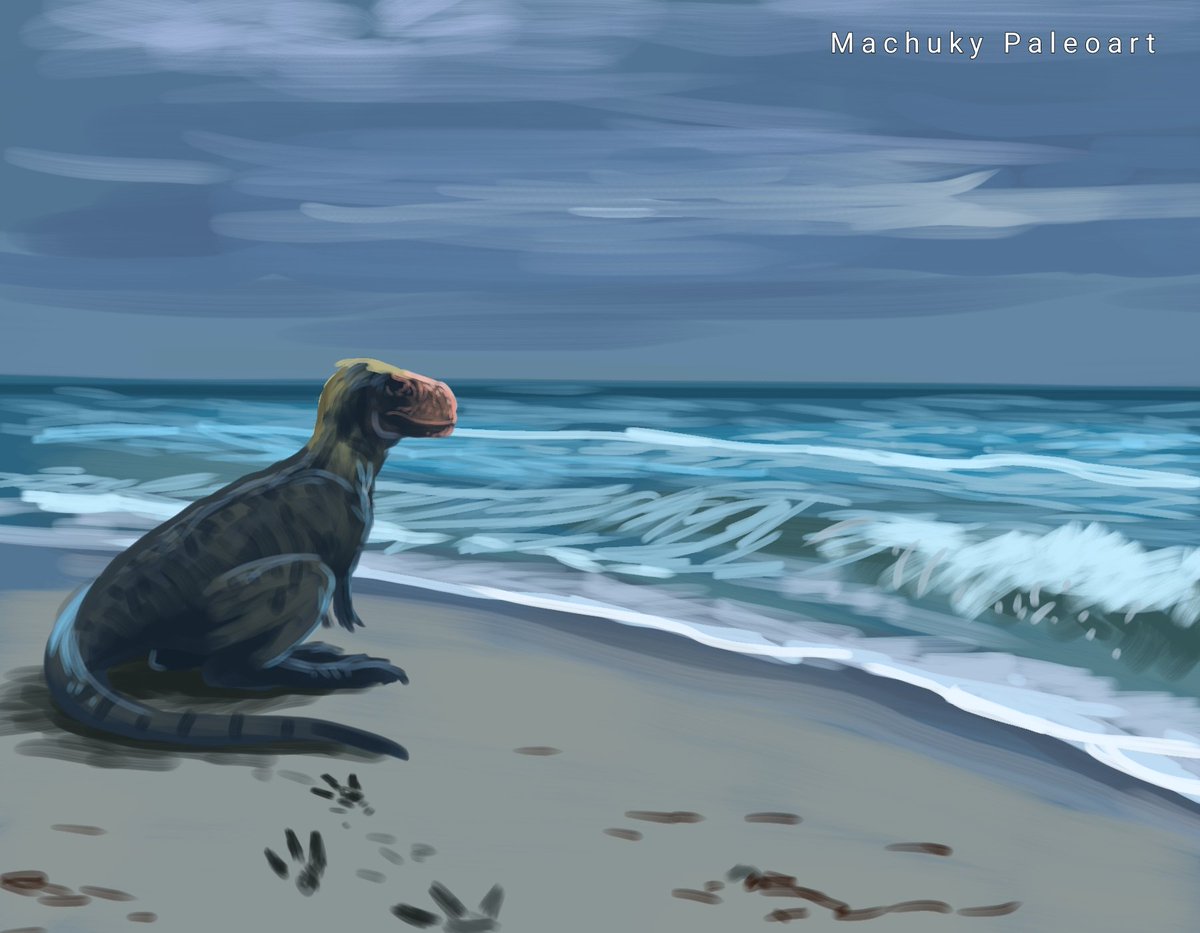 Machuky Paleoart tweet media