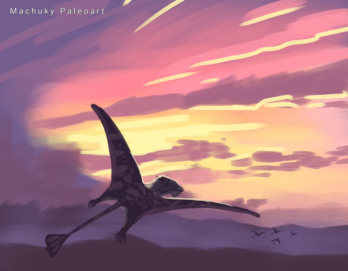 Machuky Paleoart tweet media