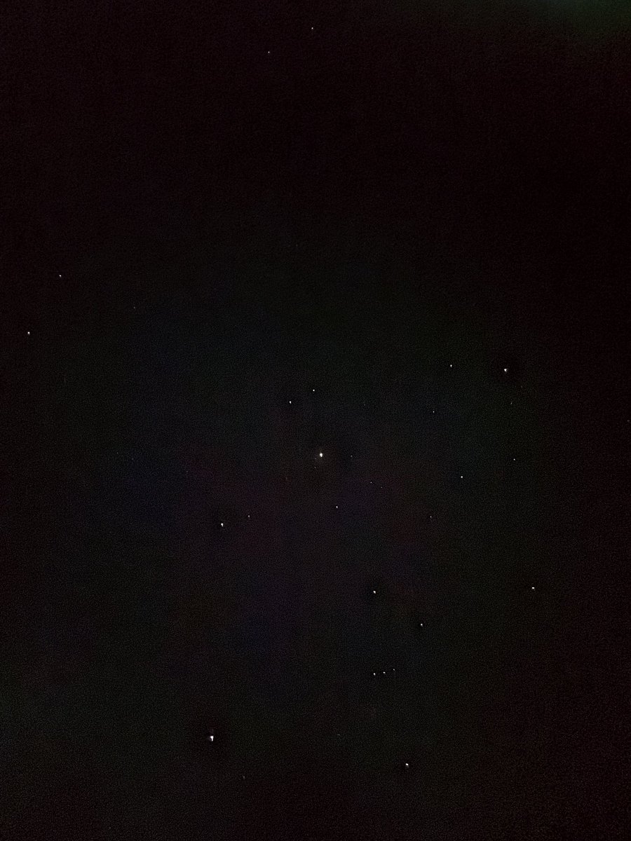 Dawn Williams tweet media