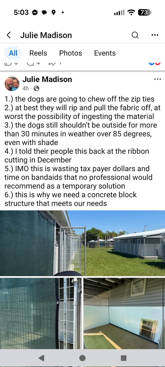 JessicaMoy48237's tweet image. @ManateeGov What does she mean tax payer dollars?   Donations collected are reported $10 to 18M. You really gonna have these dogs out in the Florida heat like this?  Florida heat and humidity?  #dogsofx #dog #Floridadogs