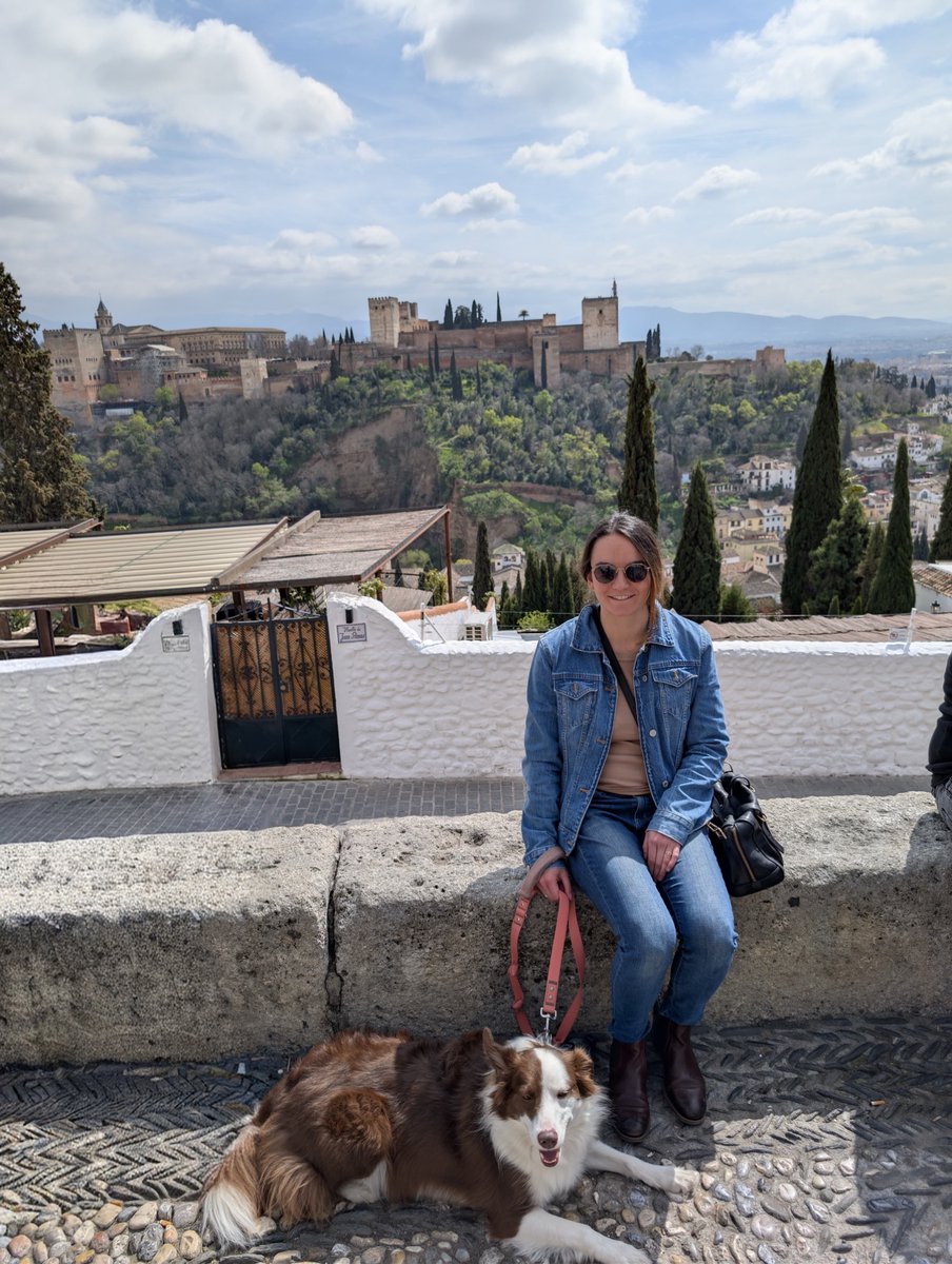 3anagl's tweet photo. Granada 😍 https://t.co/fZc4ibCkBO