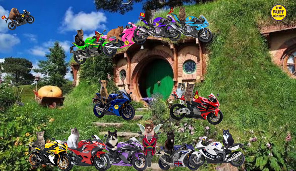 Colonel Pumpkin da Mookin, RIP all mine fwends 🌈. tweet media