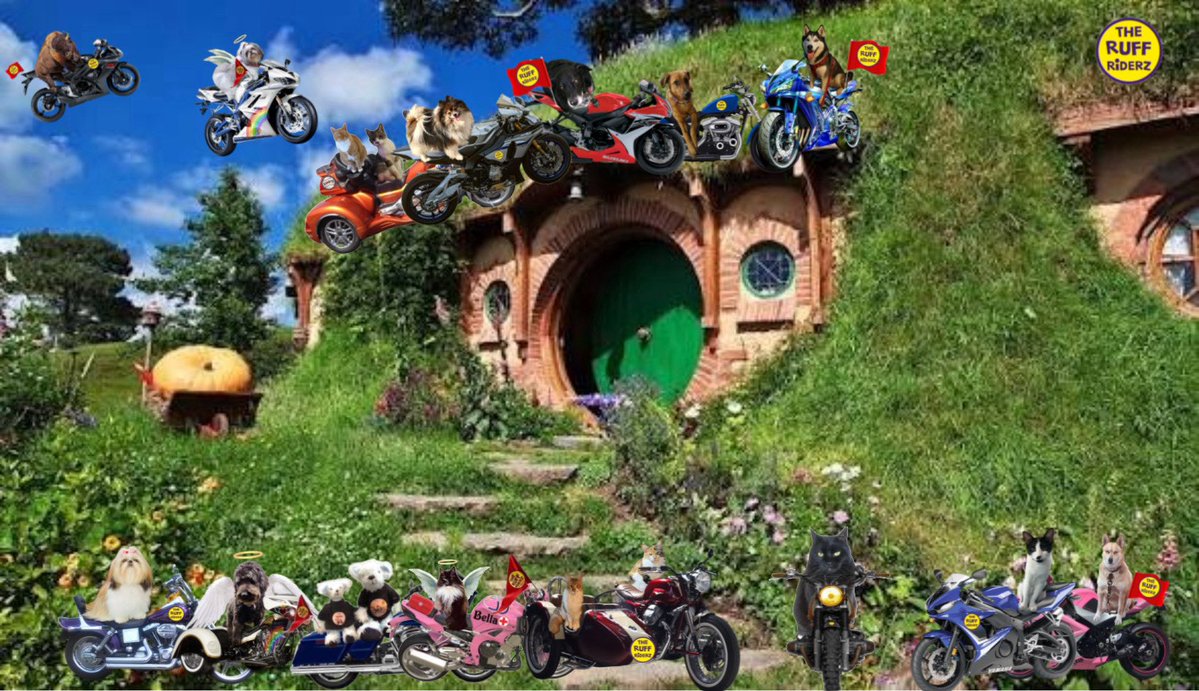 Colonel Pumpkin da Mookin, RIP all mine fwends 🌈. tweet media