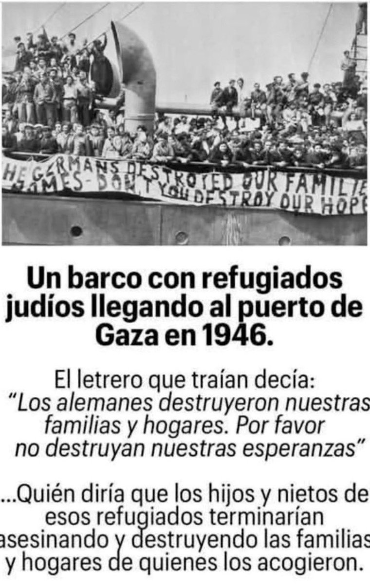 d-_-bojorquez tweet media