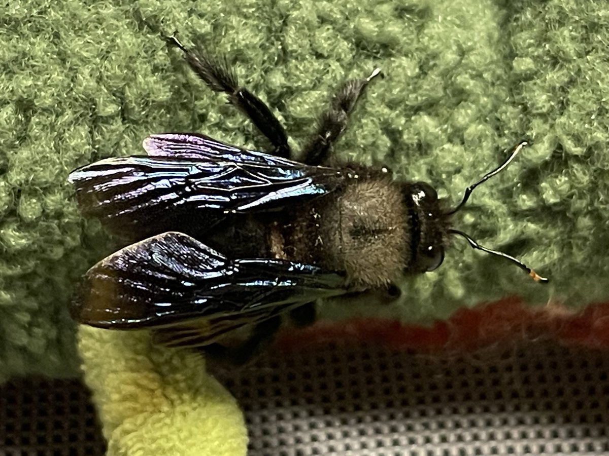 Matthias Klingspohn tweet media