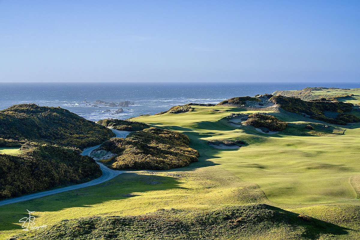 Evan Schiller tweet media