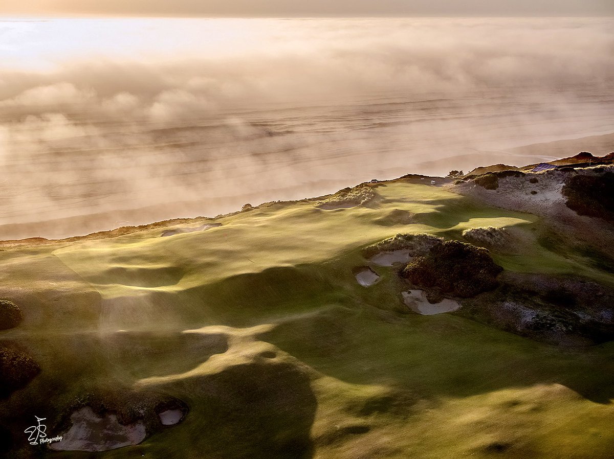 Evan Schiller tweet media