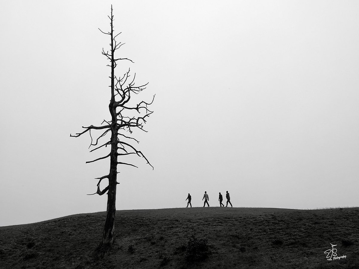 Evan Schiller tweet media